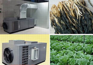 南寧專(zhuān)業(yè)的蔬菜烘干機(jī)批售 南寧蔬菜烘干房