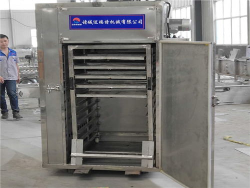 豆干烘干流水線參數 諸城邁瑞特 江西豆干烘干流水線