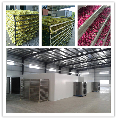 石家莊宏濤蔬菜食品干燥機(jī) 果蔬烘干設(shè)備價(jià)格解析與選購指南